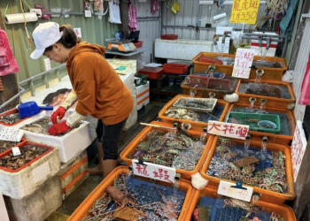 「龜吼感蟹季」狂歡來襲　消費滿千抽大獎　還享野柳優惠