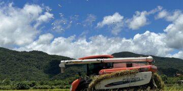 貢寮田寮洋「羽豐米豐收祭」登場 賞鳥、換書籤、吃爆米香