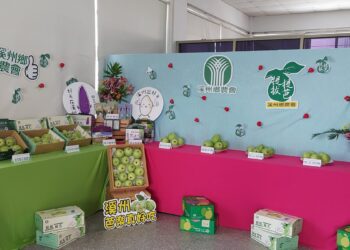 影音/114年彰化縣優質番石榴評鑑競賽 提升農民芭樂種植技術及增加收益