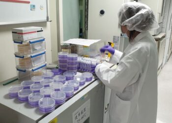 寶林茶室調查新進度　A13代班廚師糞便檢體驗出「邦克列酸」