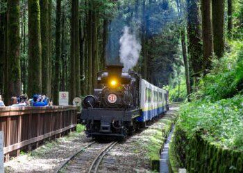 暑假限定13團　請把握阿里山蒸汽火車遊程