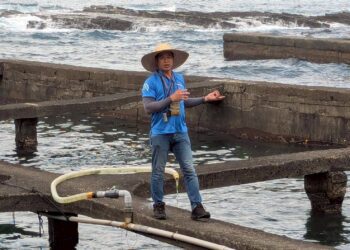 推動生態旅遊　走讀東北角貢寮河海之美