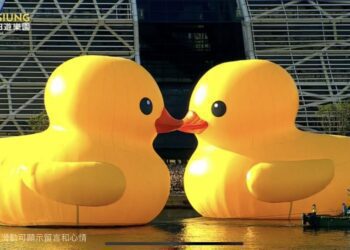 高雄黃色小鴨情人節彩蛋！雙鴨玩親親祝福有情人永浴愛河