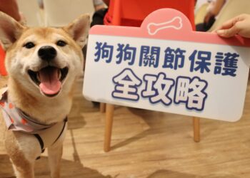 IN-Plus 攜手獸醫師舉辦講座　解密貓咪益生菌與狗狗關節保健食品怎麼挑？
