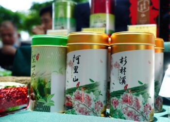 臺北花博農民市集 迎接柑甜橙香 品茗南投好茶