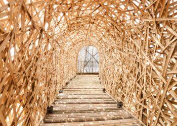 「嘉義夢點燈」2/28啟動　寫下夢想迎向嘉義黃金十年