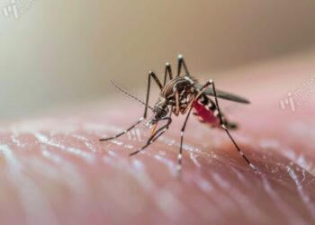 中國廣東「屈公病」疫情擴大！疾管署升旅遊「2級」警示