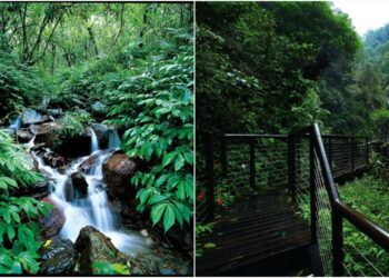 因應小犬來襲　林保宜蘭分署轄內10條步道10/4起暫停開放