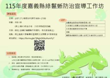 杜絕外來種　嘉義縣開辦綠鬣蜥移除訓練課程