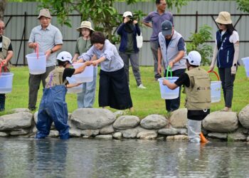 放流原生魚類重塑生態 臺東森林公園展現新風貌