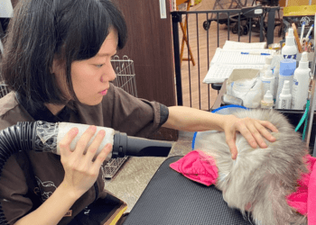 從大學畢業到職場不適應 新北市政府助你找到理想工作