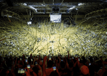 新北國王封王!7/1冠軍遊行、17處運動場館免費開放3天同慶