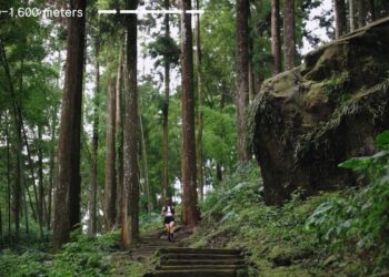 奔向阿里山雲霧茶鄉　2026茶香雲徑接力賽開放報名