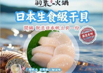 羽葉麻辣火鍋：兒童節美食狂歡，親子共享饗宴！