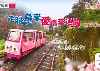 緣份由此開始 新北市推出單身聯誼活動 加碼錄取聯合婚禮