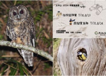 山林旅遊趣　「太平山仲夏賞鳥季」系列活動即將登場