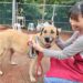 外型神似史酷比與小逗 板橋動物之家成犬路克等待溫暖家庭認養