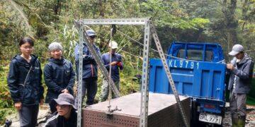卓溪鄉母女熊同日重返山林　締造臺灣黑熊野放首例