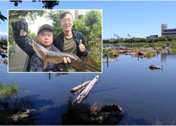 確保原生魚類生存環境　6/26邀您來釣外來魚