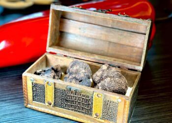 北投三二行館黑松露季開跑  晶泉丰旅花IN台北走春