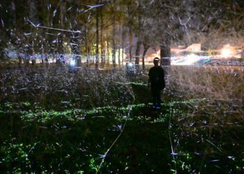 體驗光影奇幻魅力　台東光祭10/25-12/8知本溫泉區登場