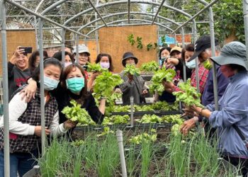 農村綠照計畫暖化心房　赤山社區溫情綠色照顧　長者歡喜上課、志工樂在助人