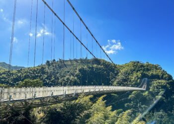 遊嘉義太平雲梯品美食  親子旅遊好去處