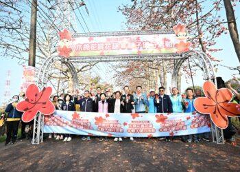 春日限定花海爆發！ 彰化濁水溪木棉花季絕美綻放