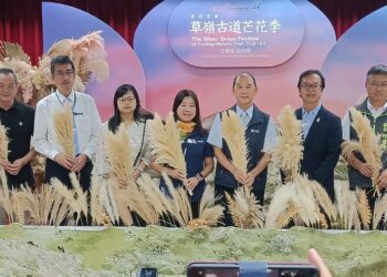 影音/「2024草嶺古道芒花季」 11/2-12/1與您漫遊古道銀白花海之美