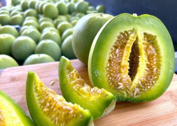 嘉義縣太保市農會「太保臻選-食再安心」記者會 11/09臺北希望廣登場