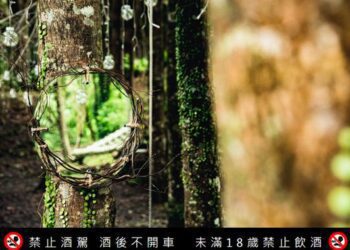 全台獨家沈浸式森林藝術展　帶你走入藏酒畫中話