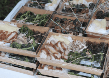 從產地到餐桌 Lipahak野菜便當在新北市集掀起綠色飲食風潮