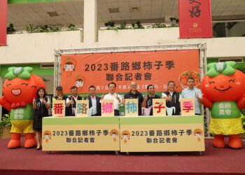 番路鄉柿子季10月熱鬧登場　秋天吃柿子正是時候