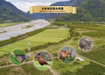 路易十四莊園不只有機　更重視生物多樣性