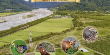 路易十四莊園不只有機　更重視生物多樣性