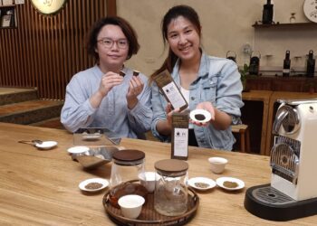 影音/茶葉膠囊正夯 業者推出含笑花、馬告茶葉膠囊