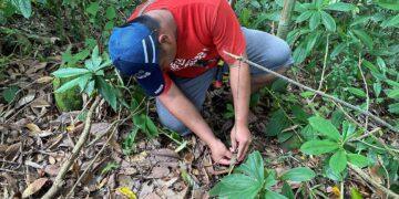 體驗阿里山鄒族部落文化　走進山林向大自然學習