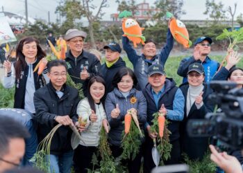 國際台灣胡蘿蔔日萬人齊聚東勢 科技農業展現新風貌