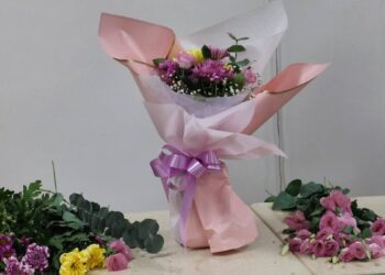 影音/田尾鄉農會推廣耐熱夏菊新品種　盼為栽種花卉農友帶來經濟效益