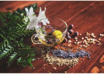 中國飲食學問多：淺談中華藥膳的歷史文化與常見應用