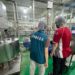 雲林縣衛生局迅速查察苦茶油案　證實原料來源非草嶺村