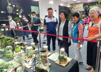 田尾鄉農會「花現美好」產業文化活動　凍凝花、多肉植物創意苔球等多種DIY體驗