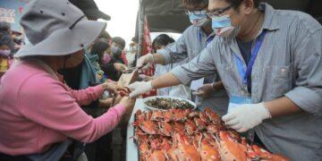 邊吃邊玩邊學 淡水漁會推「螃蟹肥了」活動 結合文蛤放流與石滬淨灘推廣永續漁業