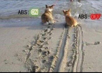 ABS與CBS煞車系統大戰！生命無價 V.S. 經濟至上