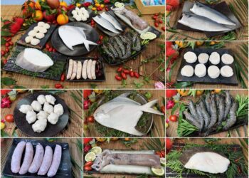 農曆春節近了　蘇澳漁會年節禮盒澎湃上市搶購中