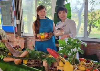 食安心道禾農創富蔬有機友善市集　11/11-12竹北登場