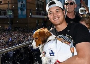 《MLB》大谷翔平再次進廠維修 左肩傷勢已手術 道奇預計趕得上明年春訓