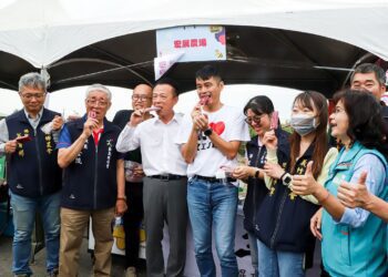 桑椹產季來臨　嘉義縣「義竹攏來桑」熱鬧登場