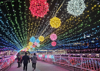 情人節浪漫加碼 新北辰光橋春節前夕開展夢幻光雕展