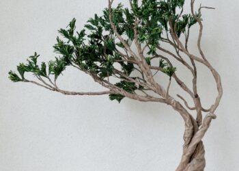 台灣皮革植物雕塑首登巴黎　Sishicraft Studio以創意工藝驚艷國際